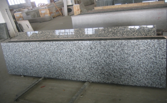 Granite countertop G439