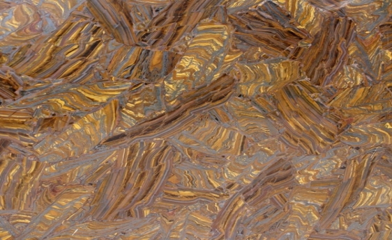 tiger skin-1