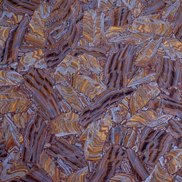 tiger skin-2